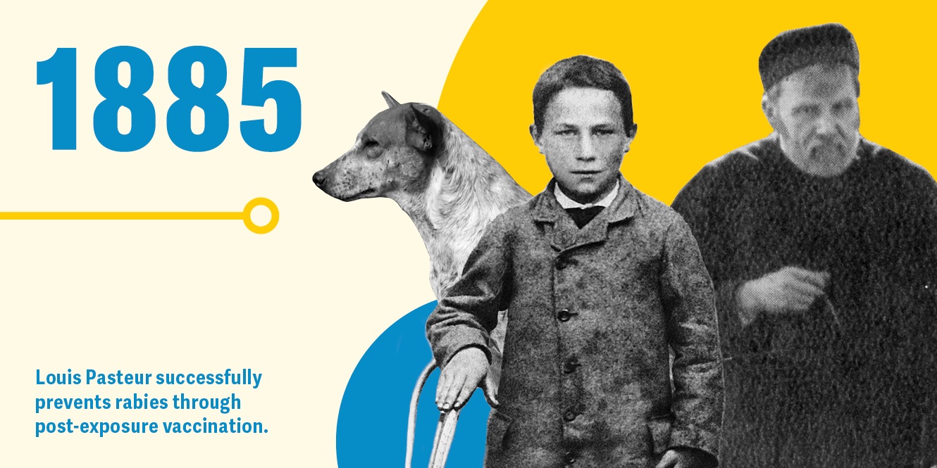 Louis Pasteur successfully prevents rabies