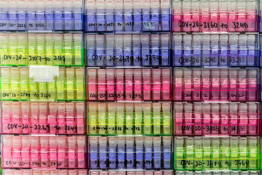 SARS-CoV-2 samples