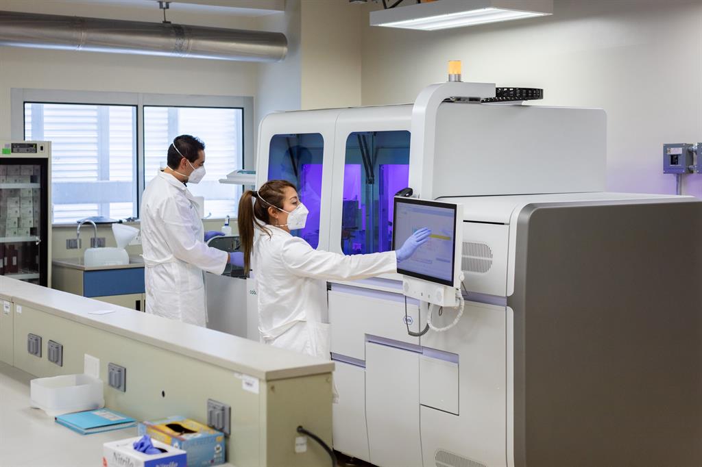 Technicians work in laboratory