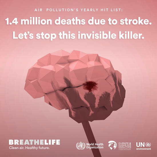 Air pollution causes 2.2 million deaths from stroke every year.