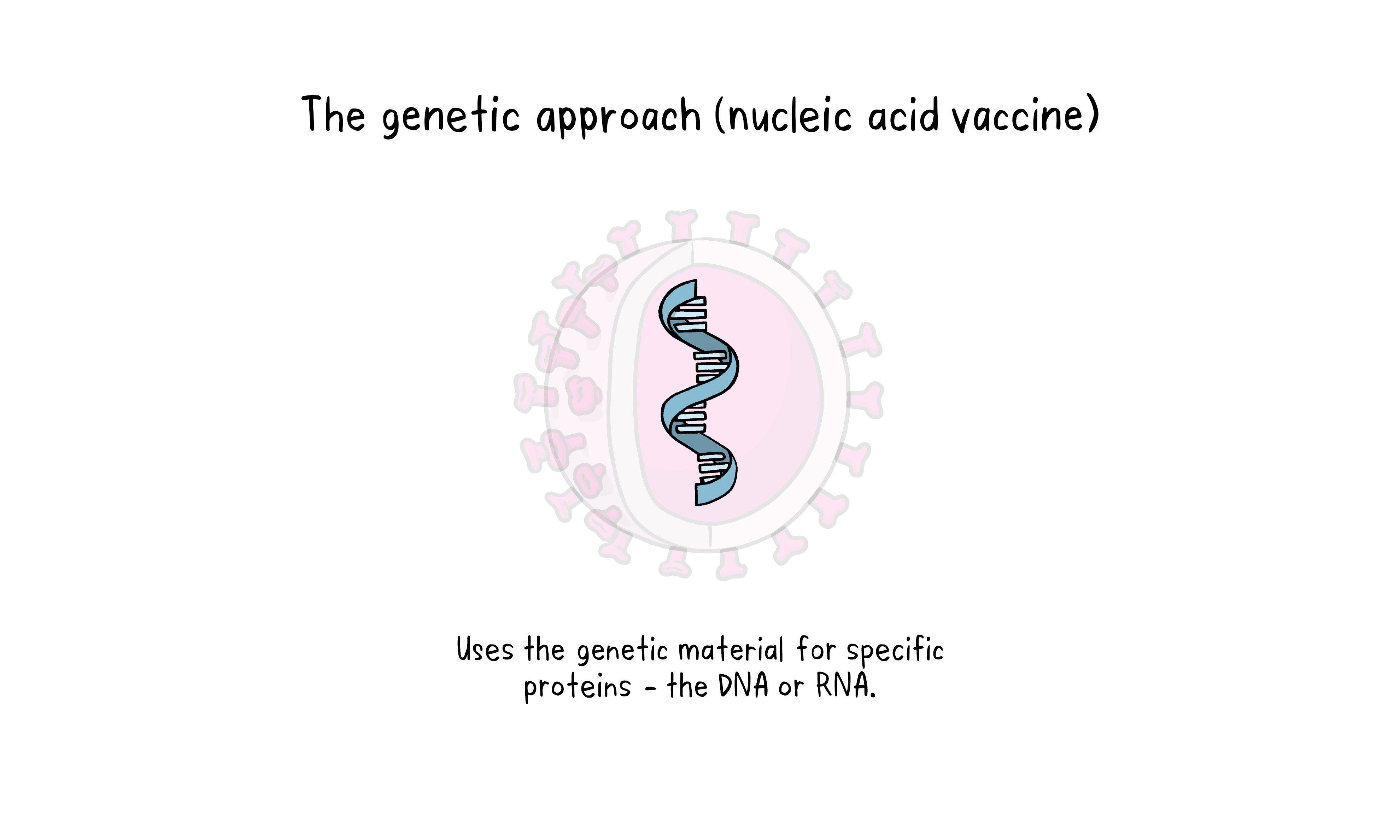 Vaccines Topics Four images working 04